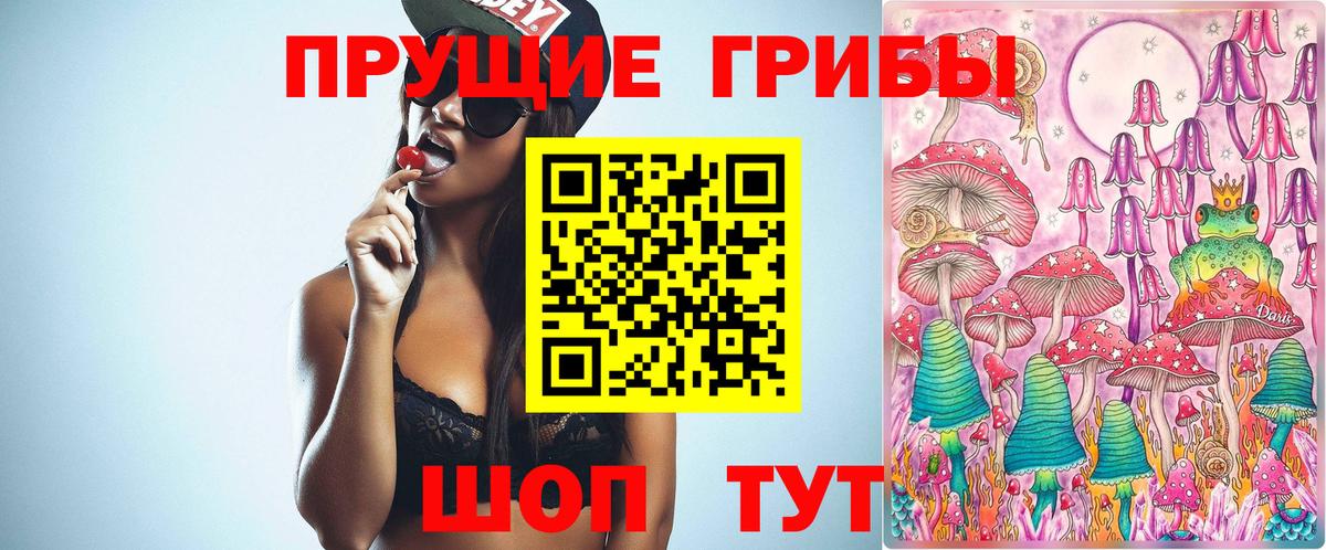 Псилоцибиновые грибы мухоморы Сальск