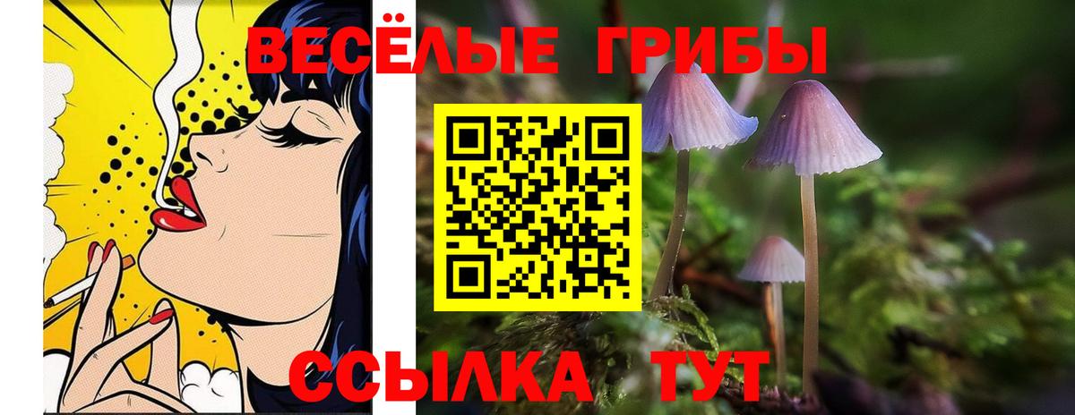 МЕТ  Кокаин  Конопля  Мефедрон   Alpha-PVP СОЛЬ   ГАШИШ  Вход с VPN  Сальск  ГАШ 