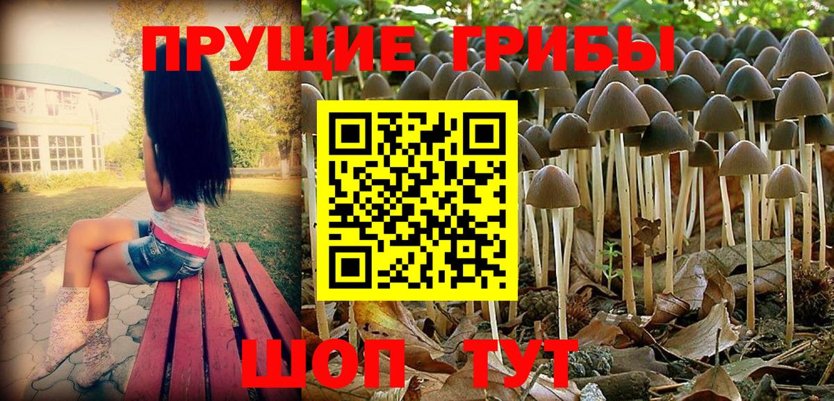 Галлюциногенные грибы MAGIC MUSHROOMS  Вход с VPN  Галлюциногенные грибы Psilocybine cubensis  Сальск 
